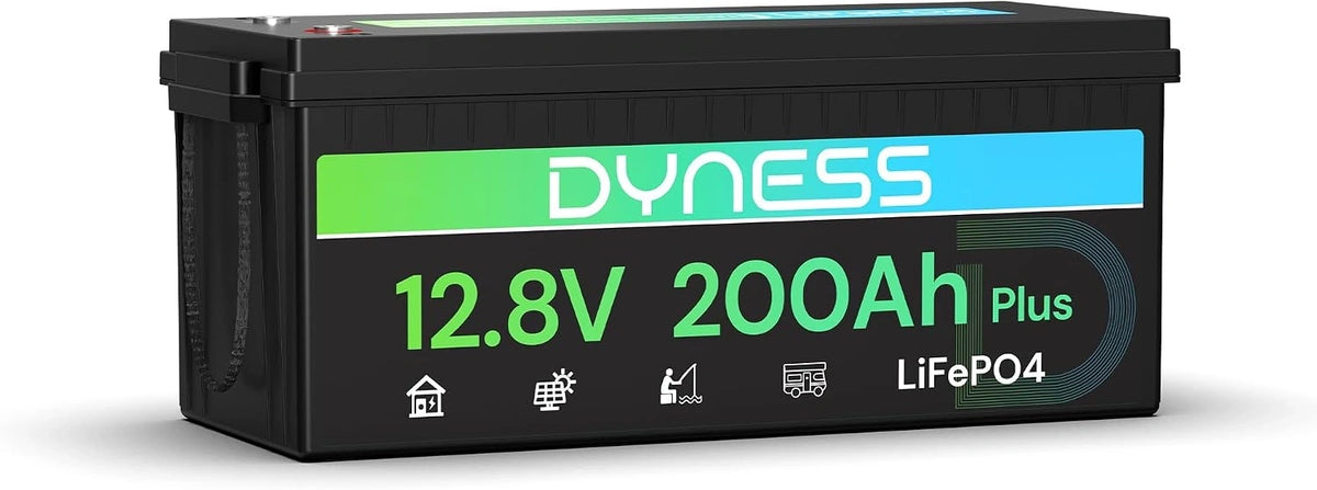 Dyness, Batteria ricaricabile, 12V, 200Ah, 2560Wh
