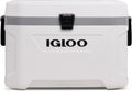 Igloo, Prodotto per casa e tempo libero