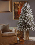 EDG, Prodotto per casa e tempo libero, 180 Cm, 117 Cm, a LED, Bianco/Verde