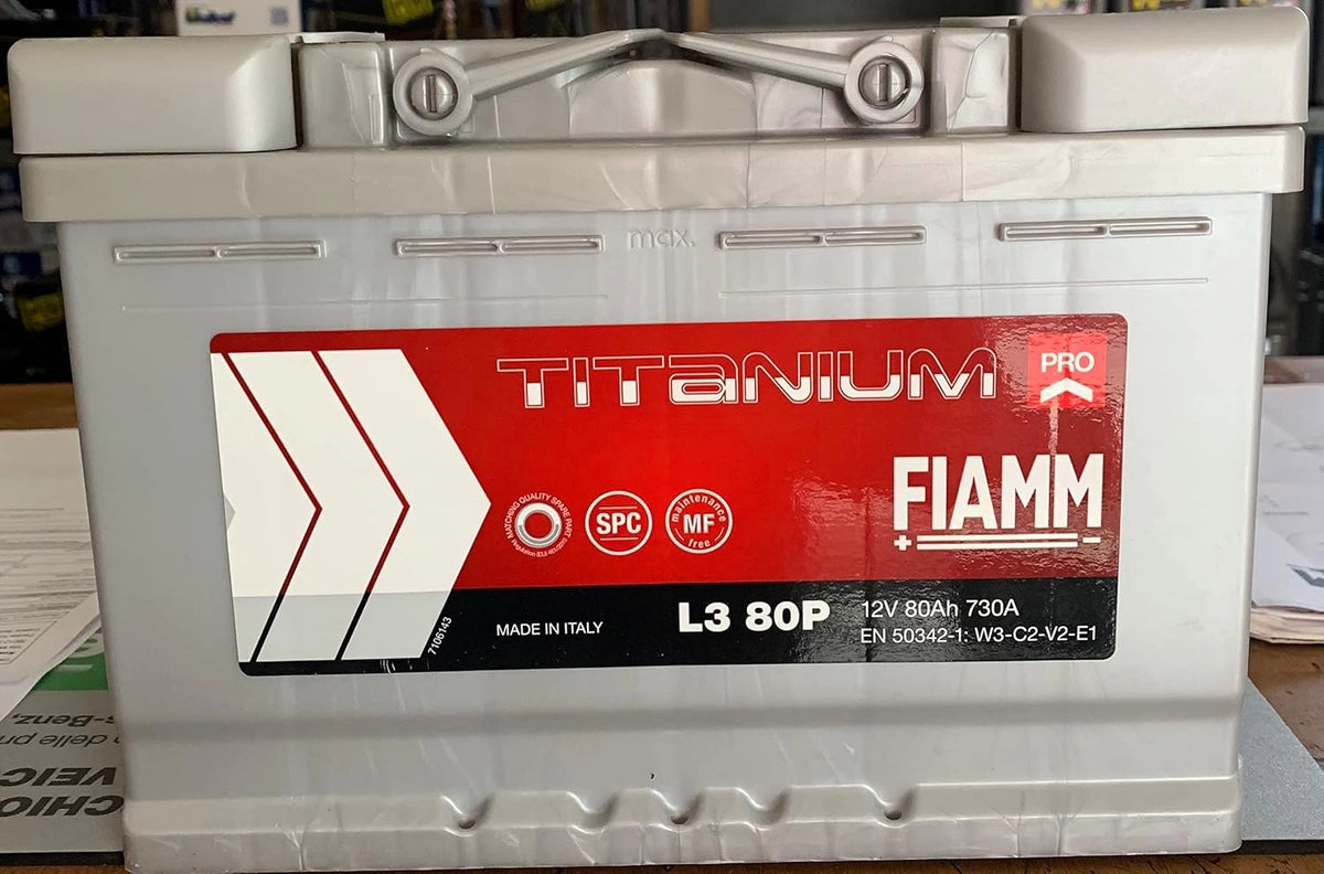 FIAMM 7905157-249 L380P, Batteria ricaricabile, 80Ah, Grigio